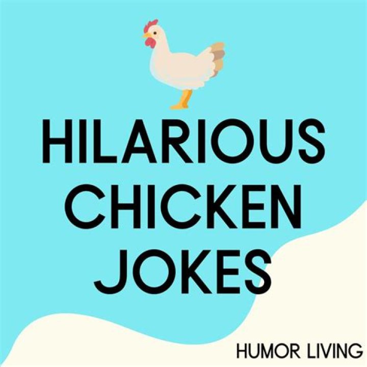 70+ Chicken Jokes That Are Clucking Hilarious Humor Living