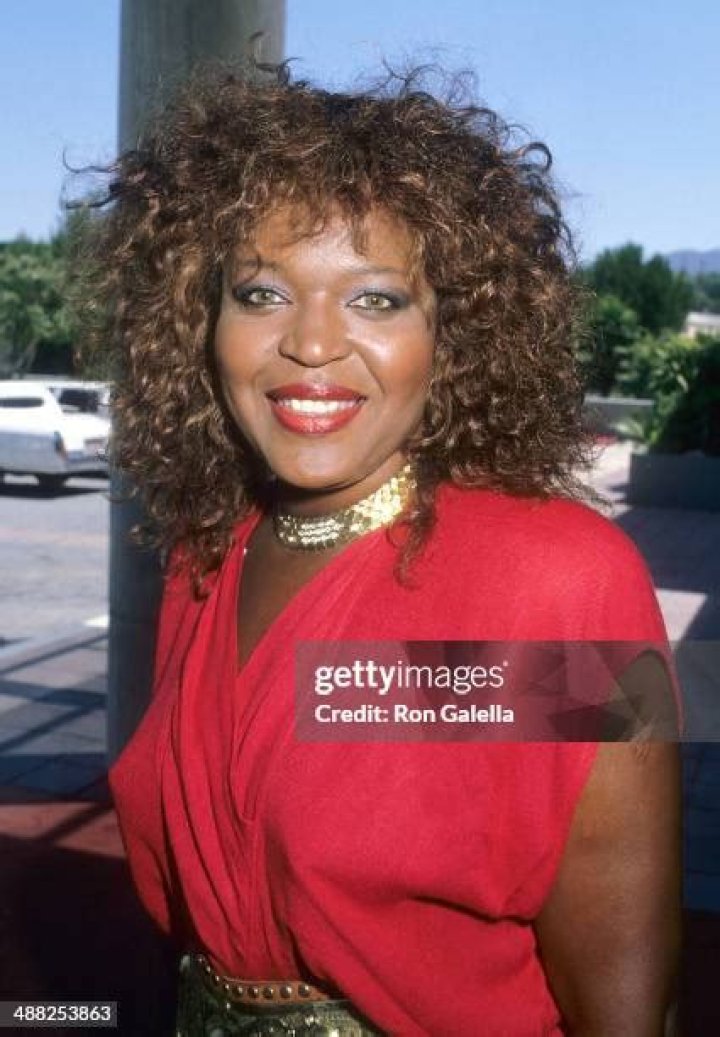 Alaina Reed attends the NBC Television Affiliates Party on August 7, 1988 at the Registry Hotel in Universal City, California | Photo: Getty Images