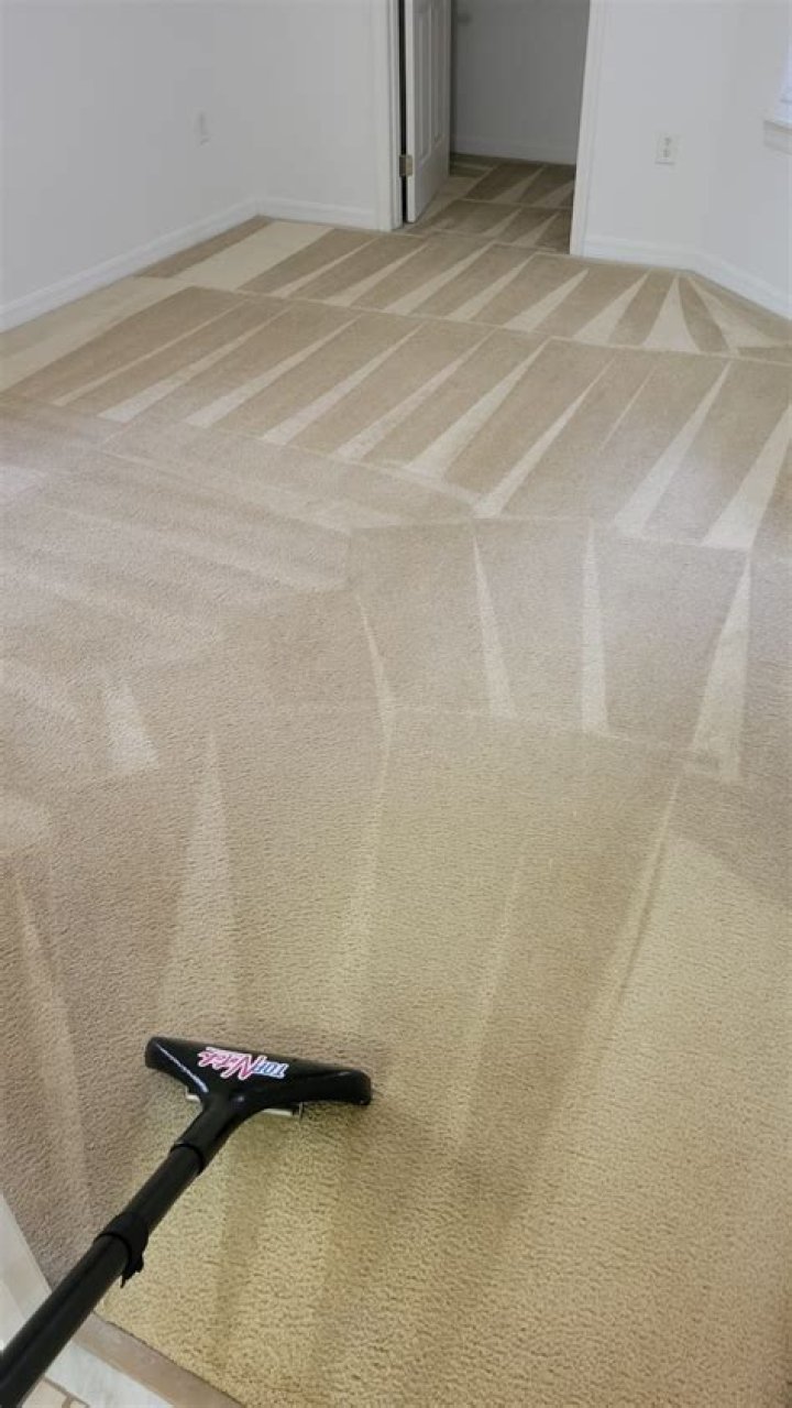 Carpet Cleaning Gainesville FL Carpet Cleaners Gainesville FL How to clean carpet, Carpet