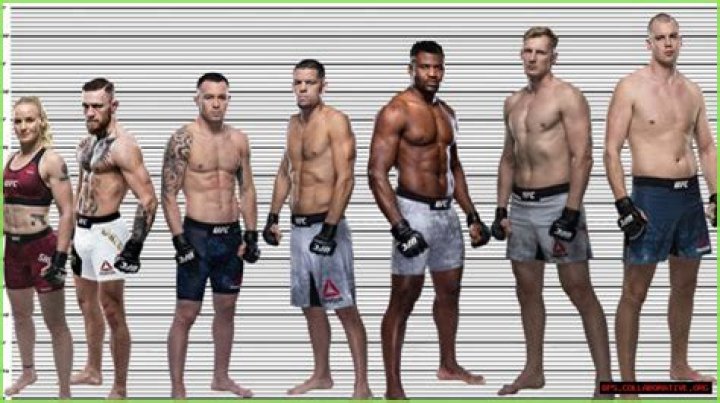 Conor Mcgregor Height How Tall is The Irish Mixed Martial Artist? Hood MWR