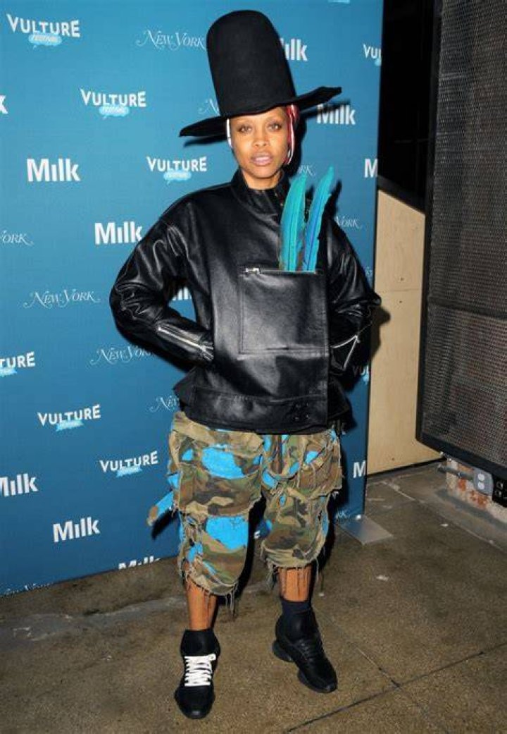 Erykah Badu at the Vulture Festival opening night party in New York City, 2014 | Source: Getty Images