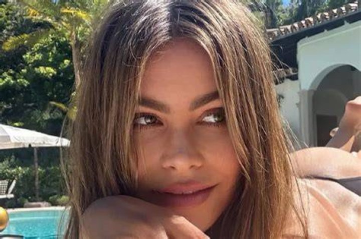 Exploring The Allure Of Sofia Vergara's Tities