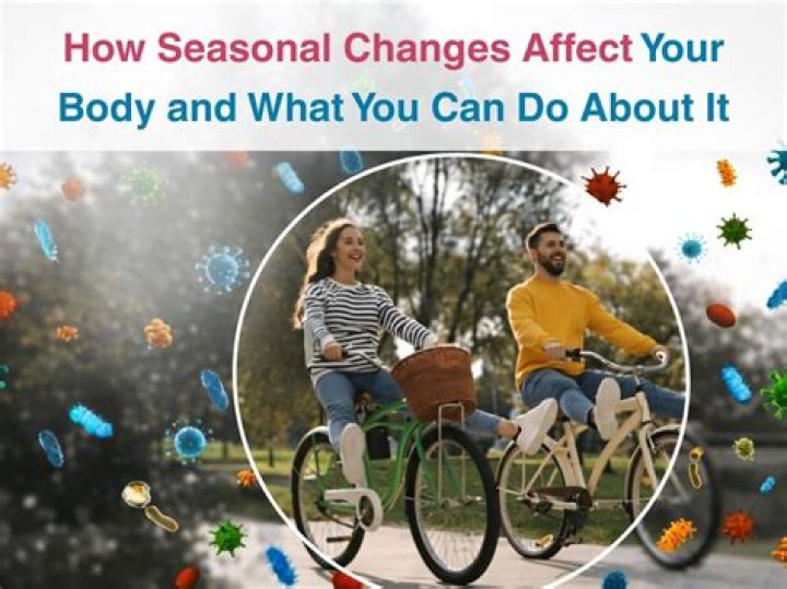 How Seasonal Changes Affect Your Carpet Gainesville, FL Tips