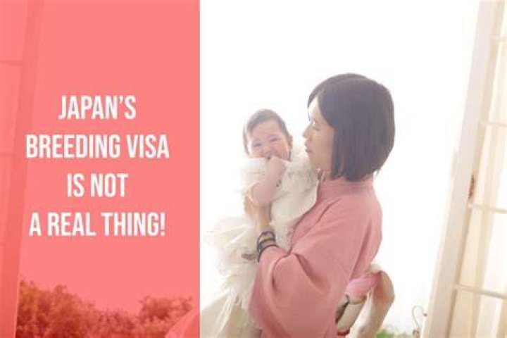 Japan Breeding Visa Is It Real or Just a Myth? Mochi No Yume