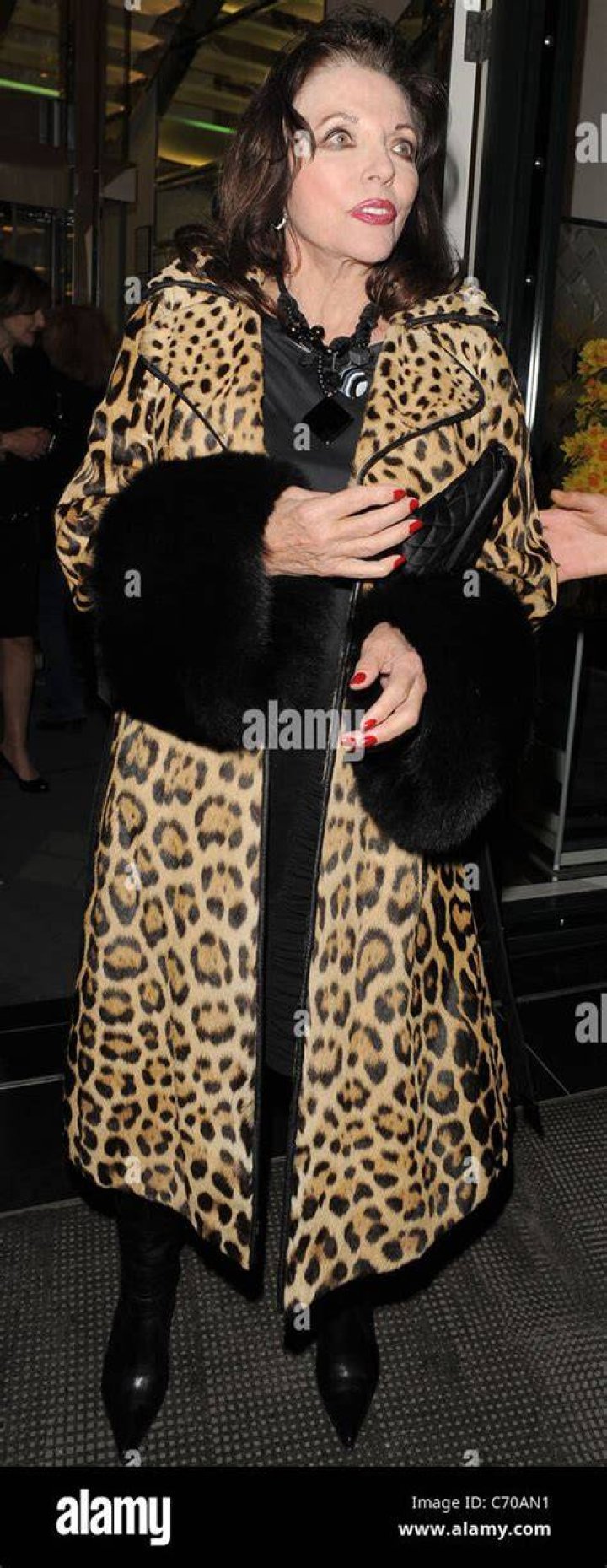 Joan Collins wearing a leopard print dress on the patio of her San Tropez villa in the South of France beside her husband Percy Gibson in August 2013 | Source: Getty Images