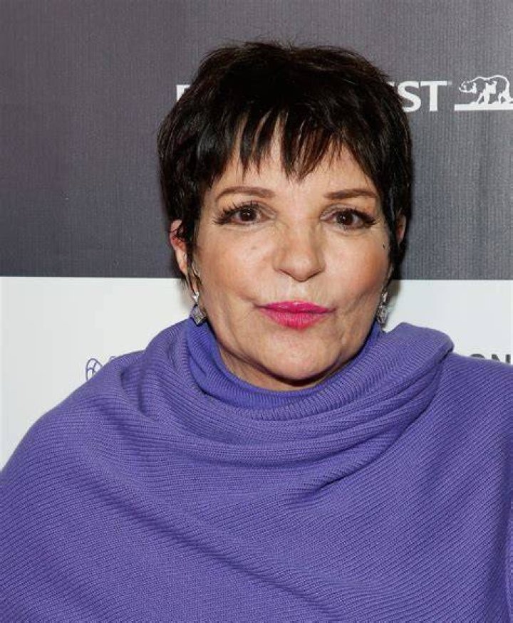 Liza Minnelli at the Los Angeles Italia Closing Night Ceremony on February 20, 2015, in California. | Source: Getty Images
