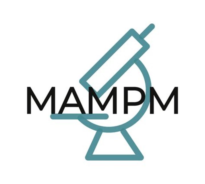 M&M's PNG