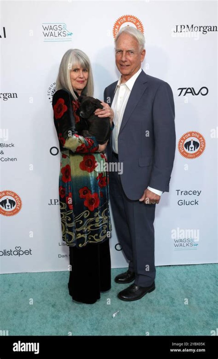 Mark Harmon and Pam Dawber at the American Film Institute in 1989 | Source: Getty Images