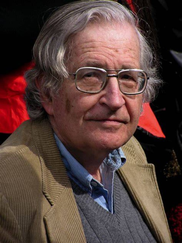 Noam Chomsky On The Perils Of MarketDriven Education Rozenberg Quarterly