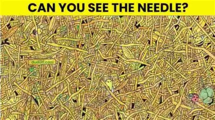 Optical Illusion IQ Test: If You Able To Identify The A Negative Among These A Positive Within 20 Seconds You Are A Brilliant Optical Illusion IQ Test: If You Able To Identify The A Negative Among These A Positive Within 20 Seconds You Are A Brilliant