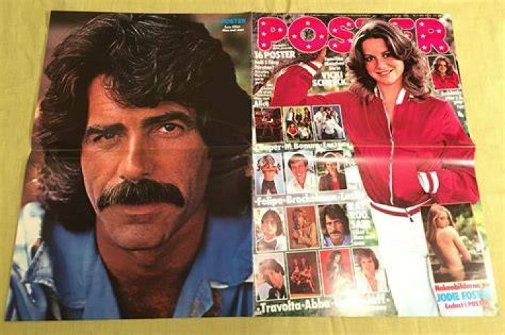 Poster Cover 51979 Vicki Schreck Swedish Poster Magazine 1970s eBay