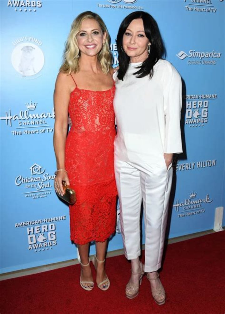 Shannen Doherty at the 9th Annual American Humane Hero Dog Awards in Beverly Hills, California on October 5, 2019 | Source: Getty Images