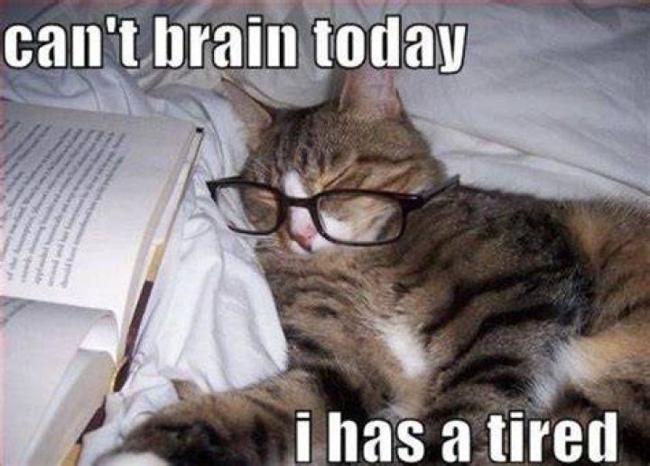 Tired Memes Fun